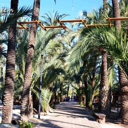 AitiXtrem_Fotor8