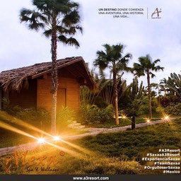 Posters saxaa a3 resort_49_Fotor