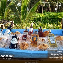 Posters_saxaa_a3_resort_80_Fotor8